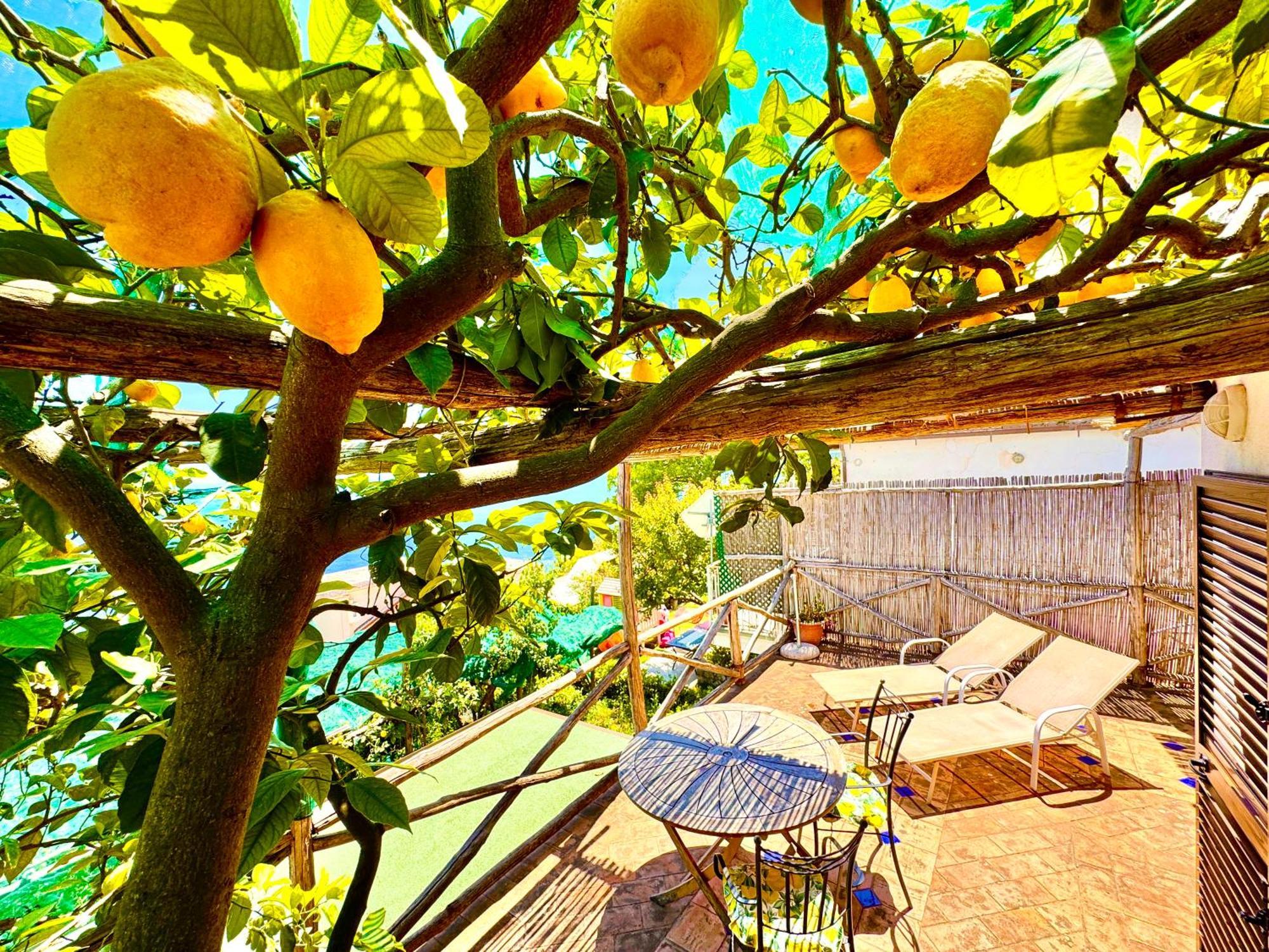 Emotion Apartment Praiano Exterior foto